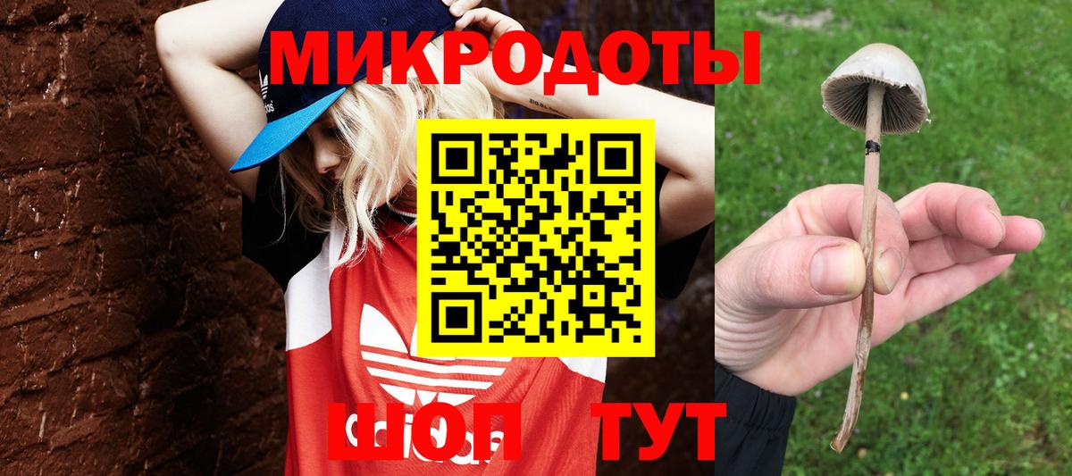 Новый Уренгой  наркошоп  Вход с VPN  Галлюциногенные грибы Cubensis  Галлюциногенные грибы мухоморы 