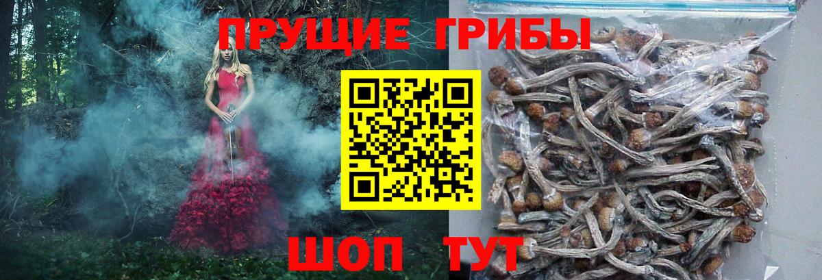 Псилоцибиновые грибы GOLDEN TEACHER Новый Уренгой